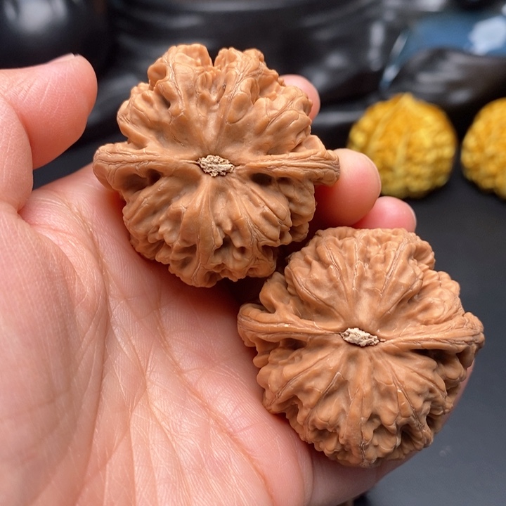 把件文玩核桃粗筋43尺