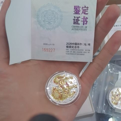 纯银银马纪念币一枚227