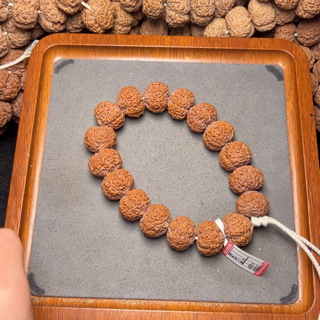 菩提11号尼泊尔大金刚20五星蜂王菠萝蜜