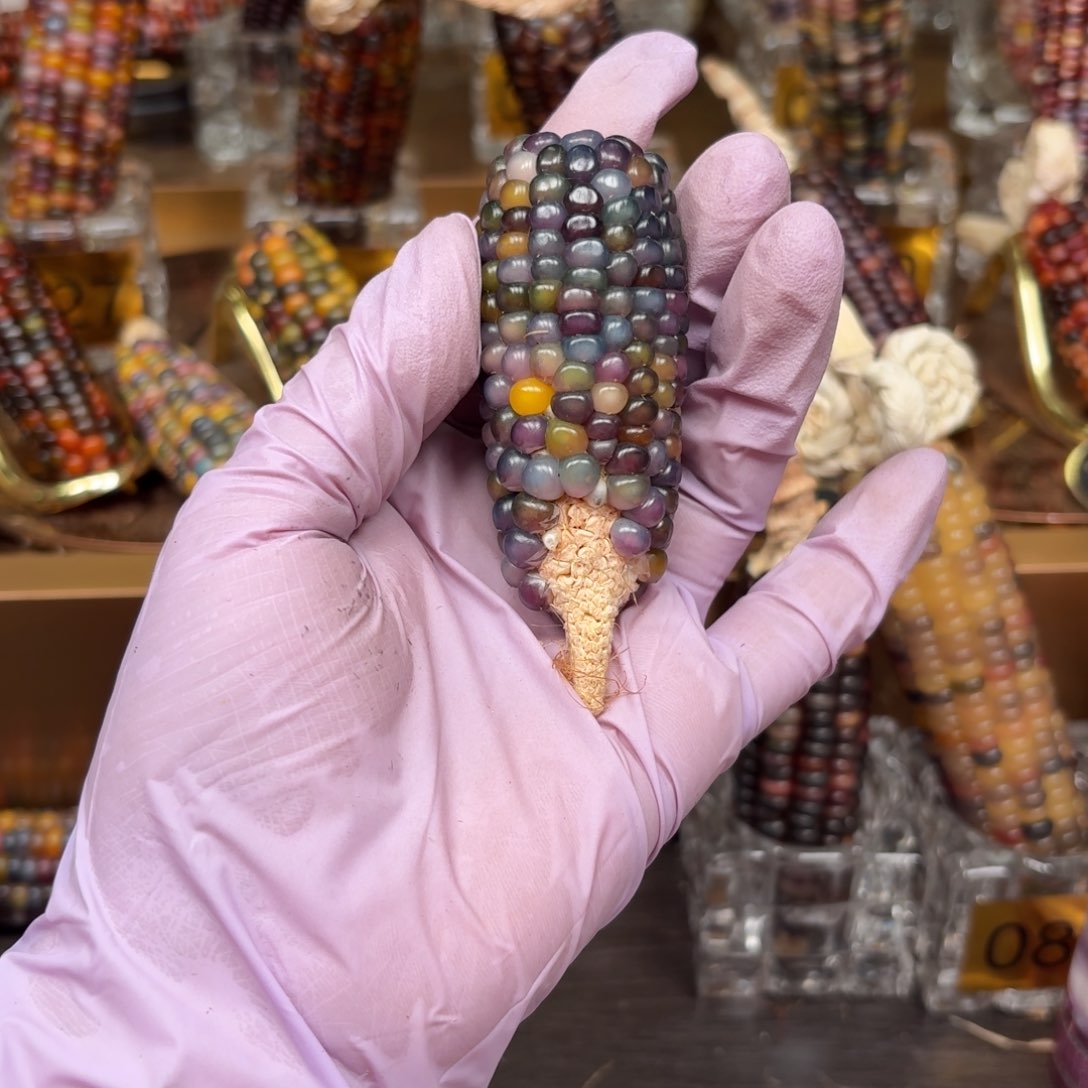 柏香籽/百香籽吊坠微****园