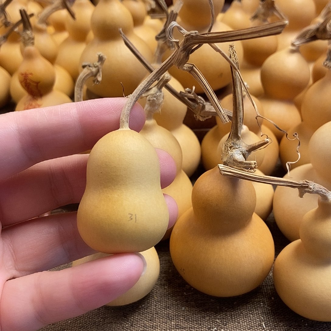 文玩葫芦 完美主义者 慎拍31