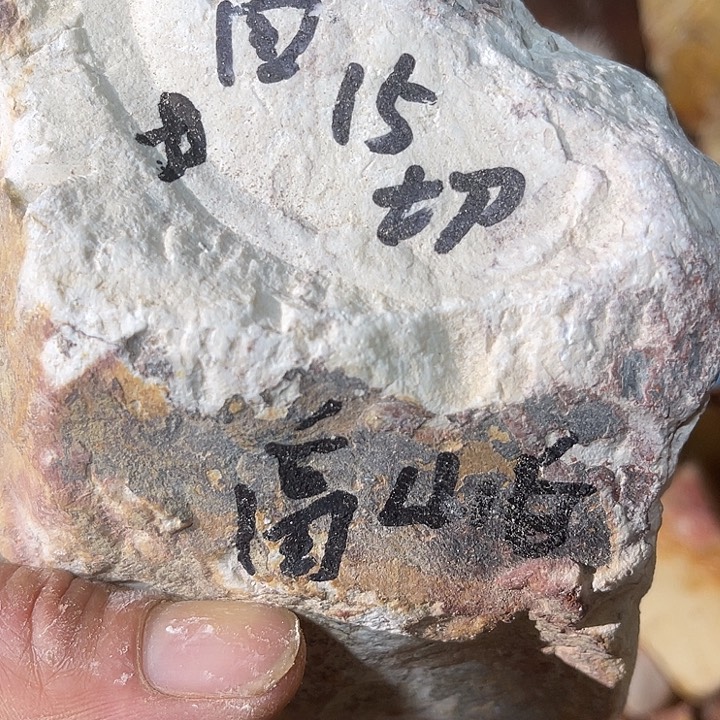 寿山石寿山石回老师定制