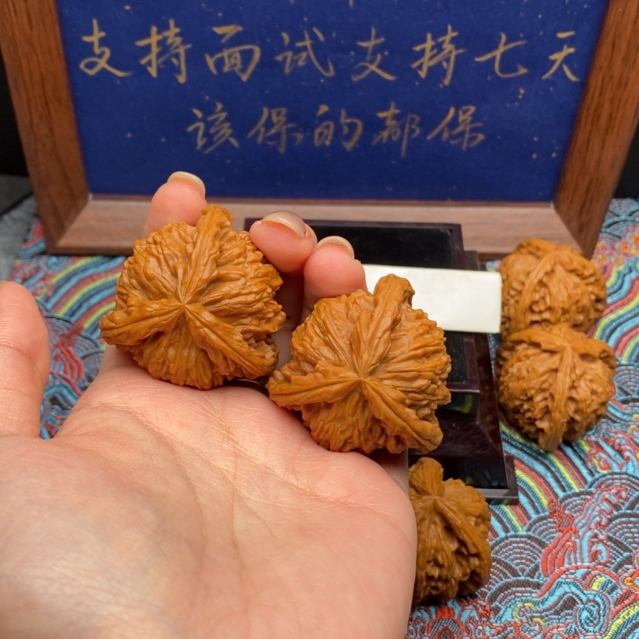【闪购商品】哥****牌白狮
