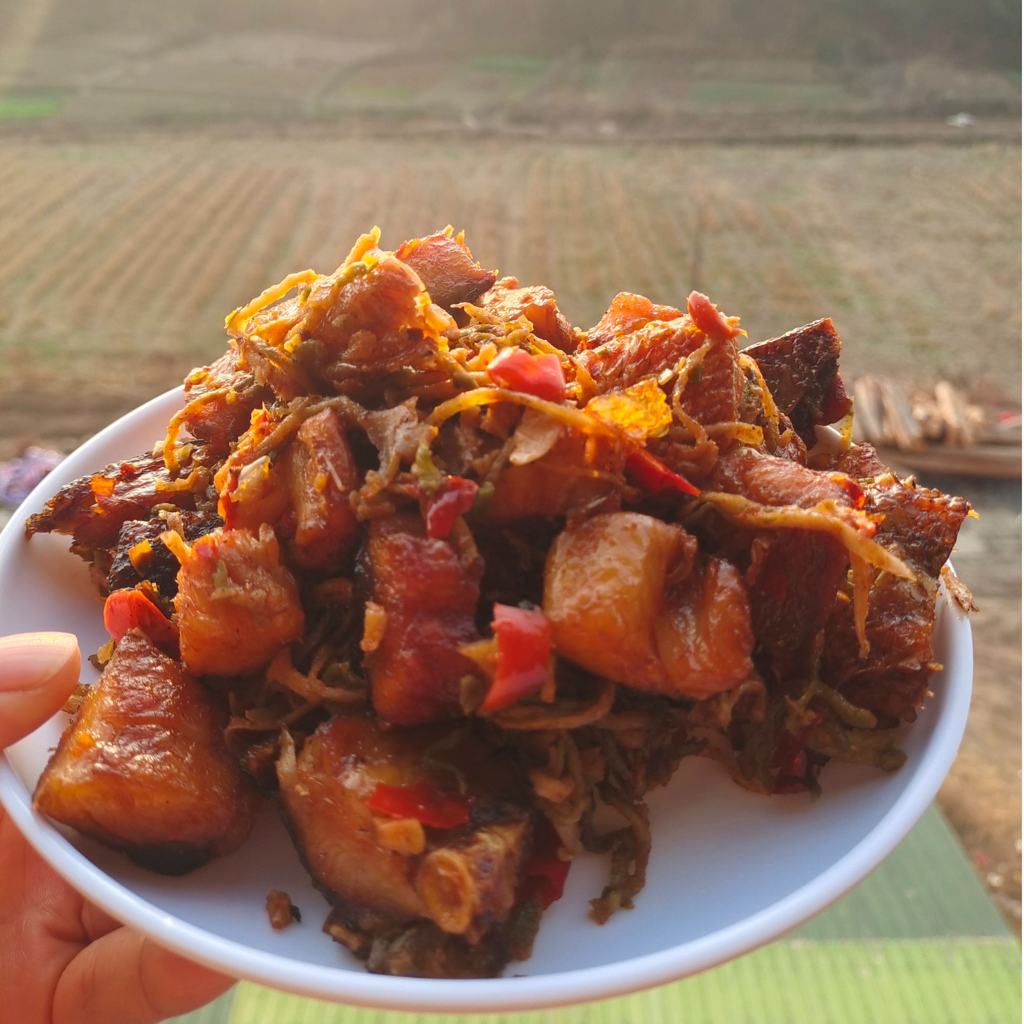 安徽安庆纯手工炒制萝卜丝腊鱼块熟食辣鱼块食用500g/盒