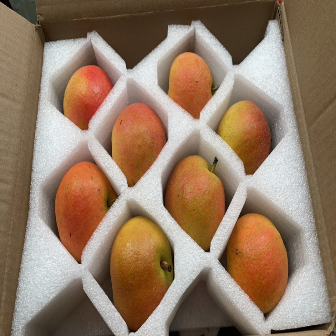 正宗鞍山南果梨阳面超大果16枚4.5斤-5斤网红爆汁梨老少皆宜