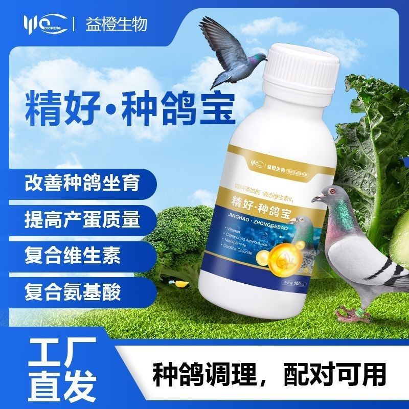 益橙种鸽宝改善种鸽坐育提高产蛋质量种鸽调理配对可用