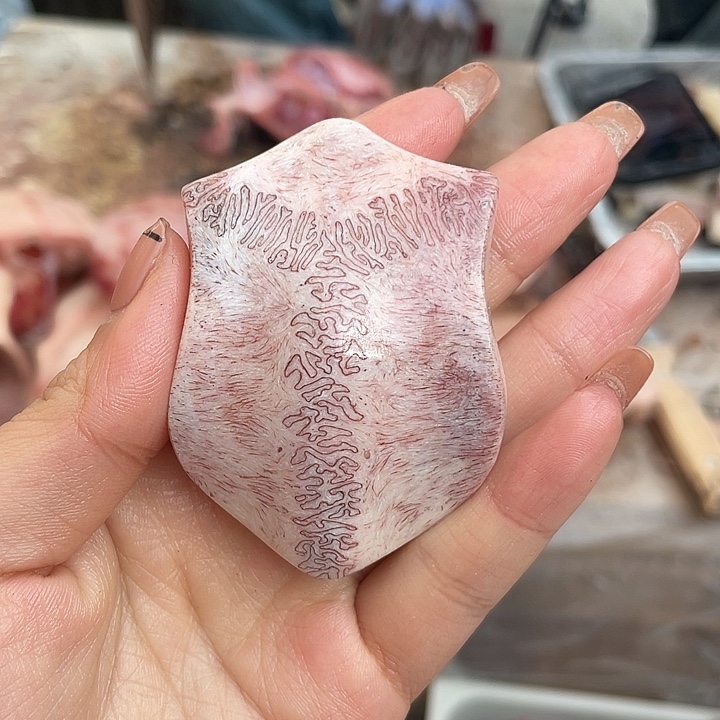 养殖鹿骨三界牌子
