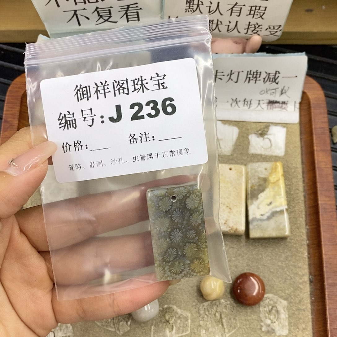 硅化珊瑚（珊瑚玉）未镶嵌颈饰多****士