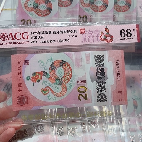 塑料028918562。。。。。。。。。