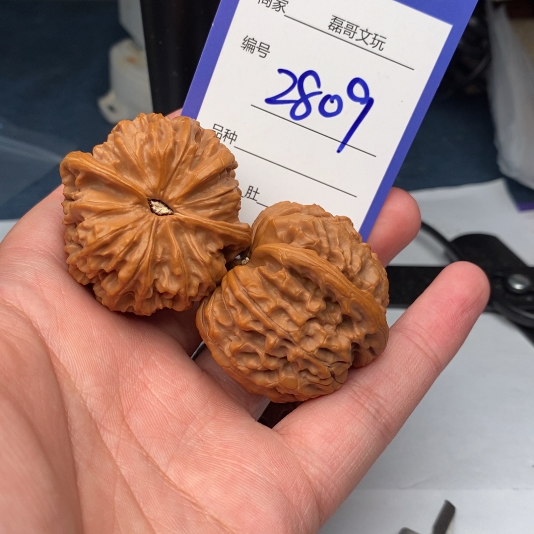文玩核桃把件2809