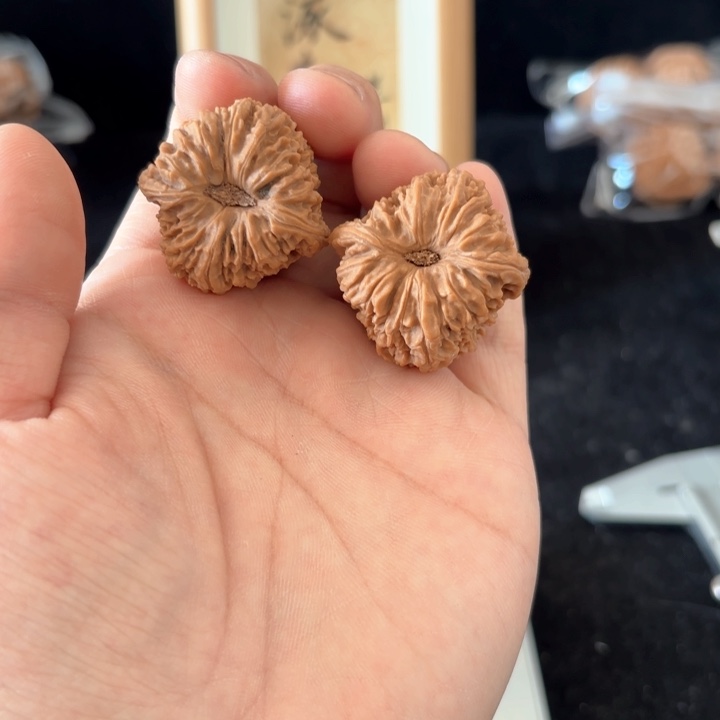 文玩核桃吊坠?****?南将