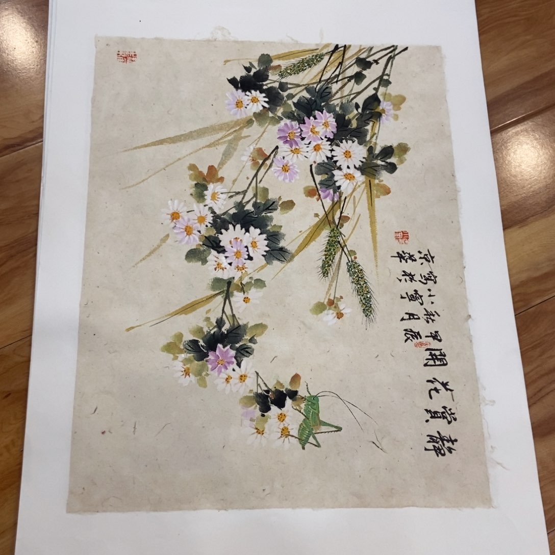 【闪购商品】国画T****约墨鱼精品墨鱼精品