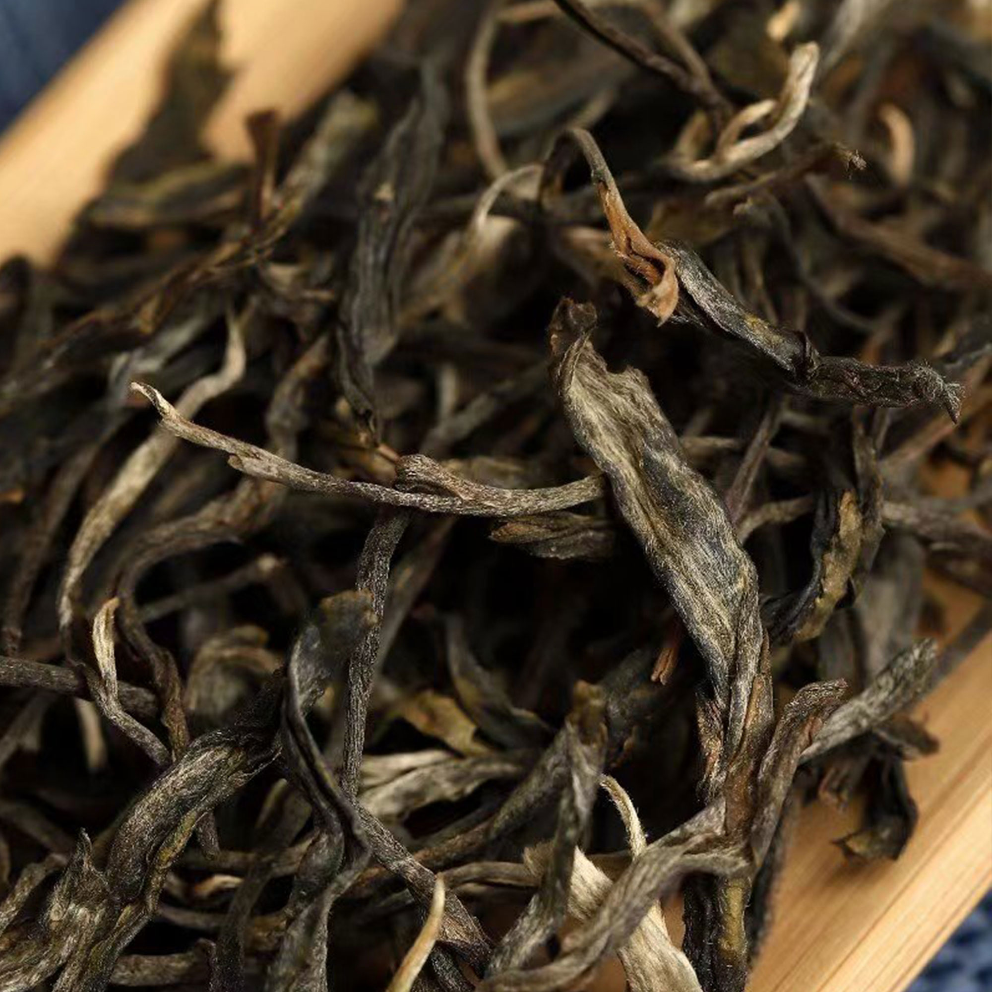 2025年【凤来朝堂】云南普洱茶 南糯山茶王地  散茶 