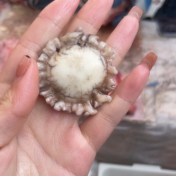 养殖鹿骨三界牌子