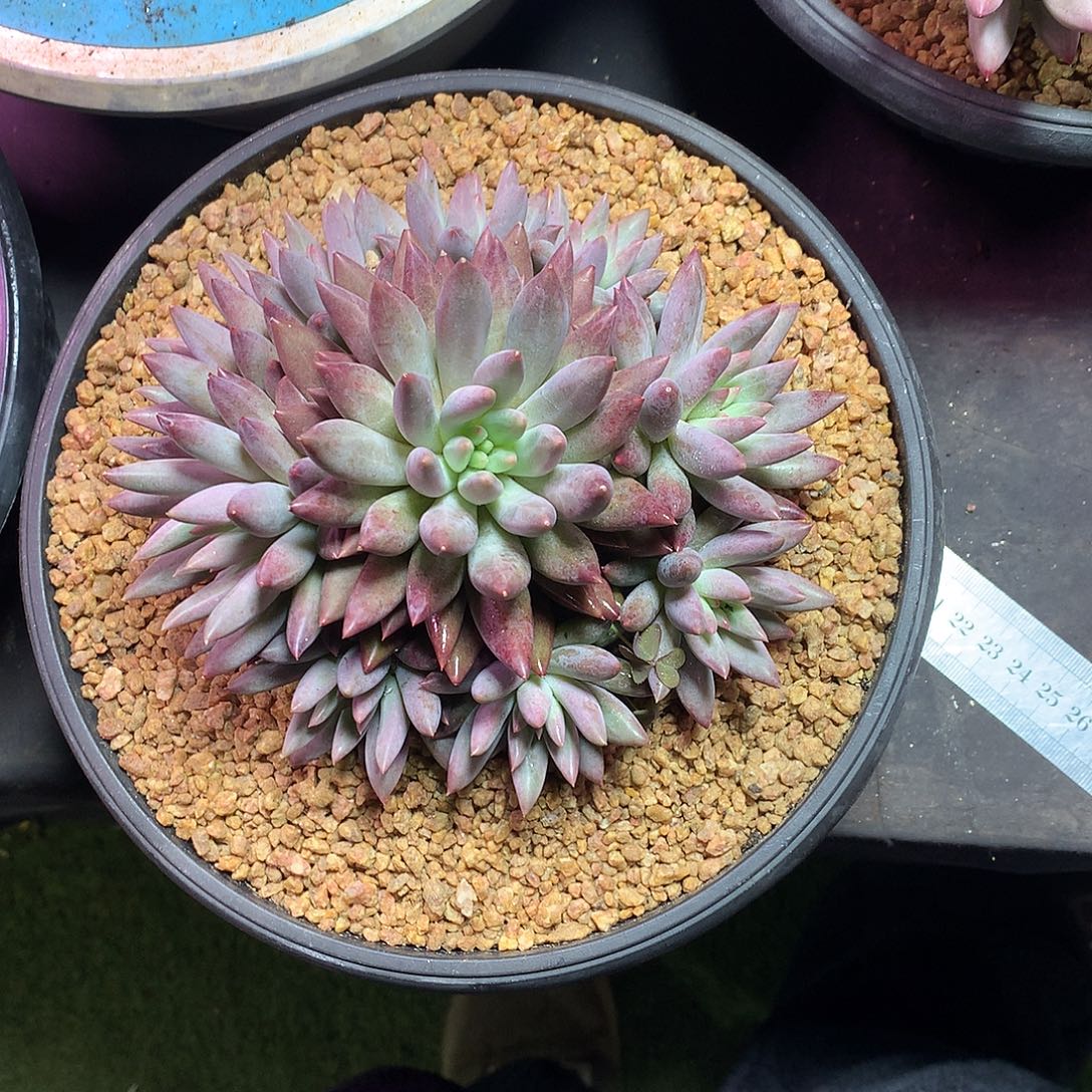 ︶***࿐哈哈哈哈哈哈哈哈哈哈