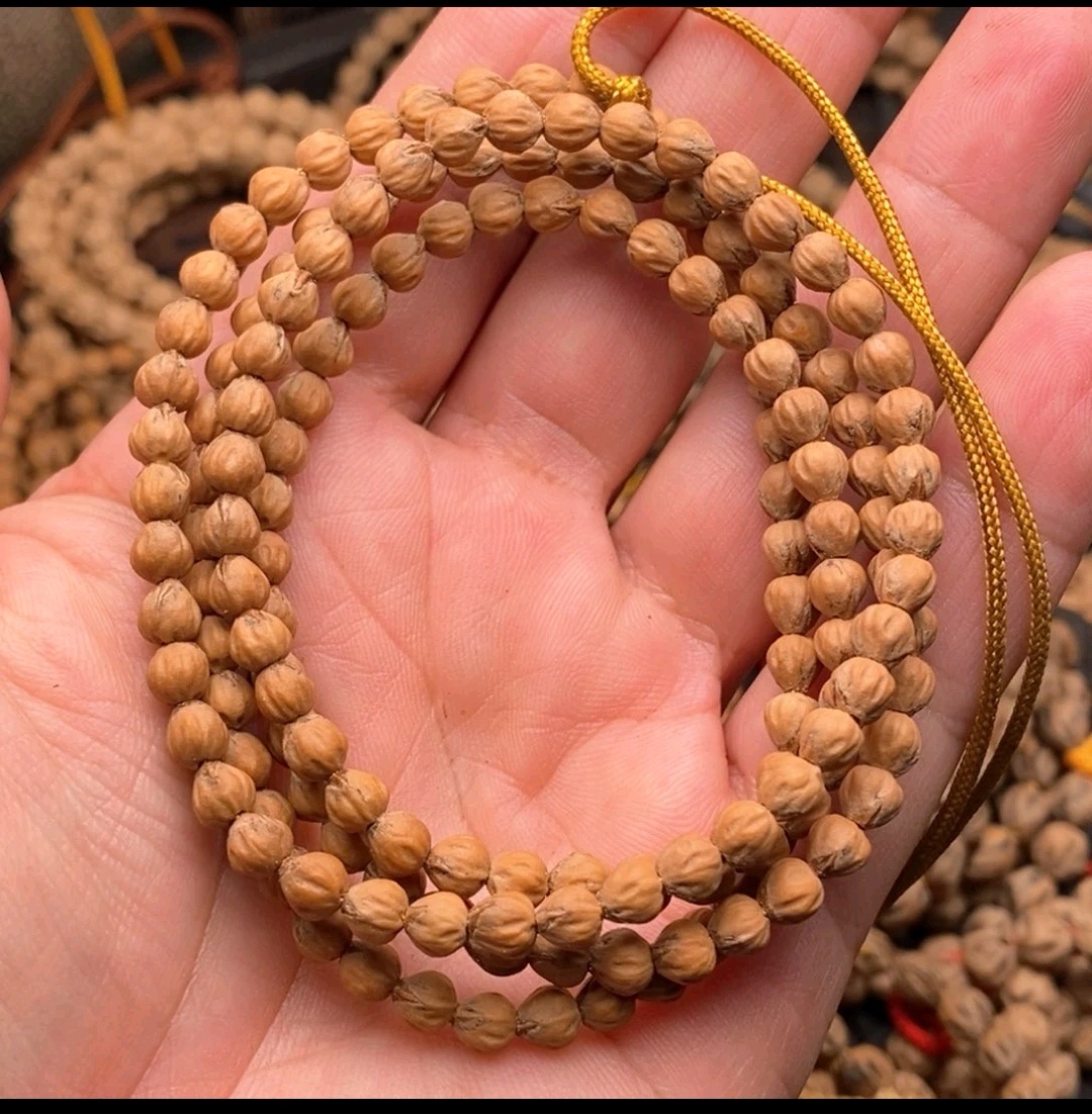 柏香仔，热振柏香小金豆卡5mm