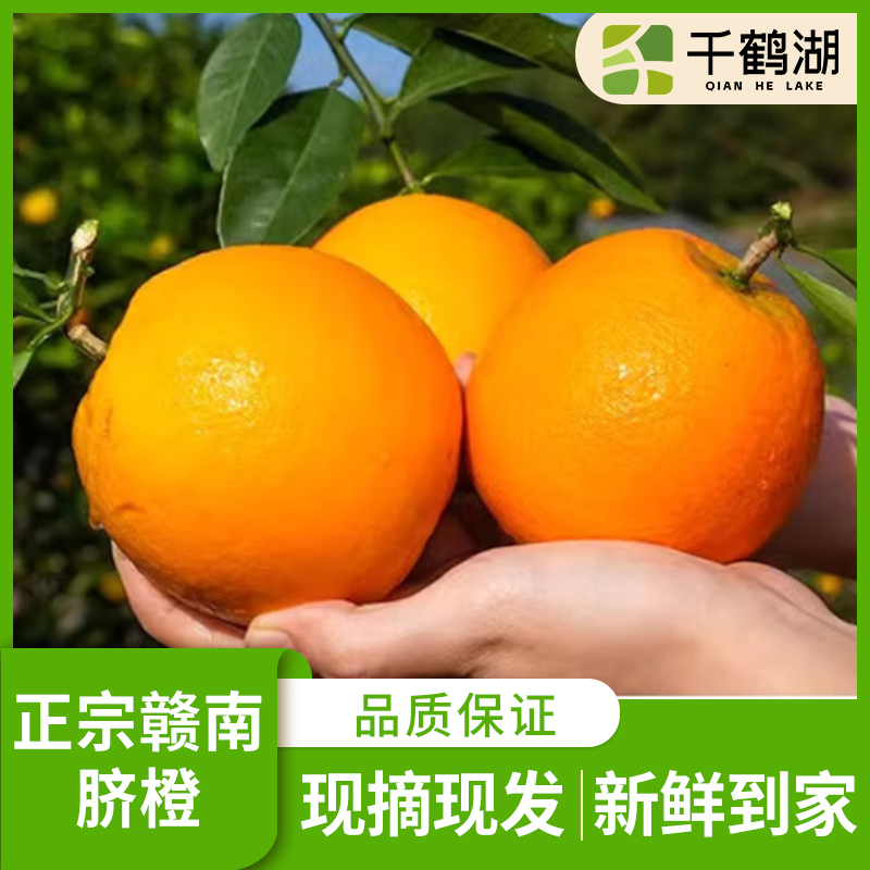 【千鹤湖】正宗江西赣南脐橙孕妇水果当季手剥新果赣南直发