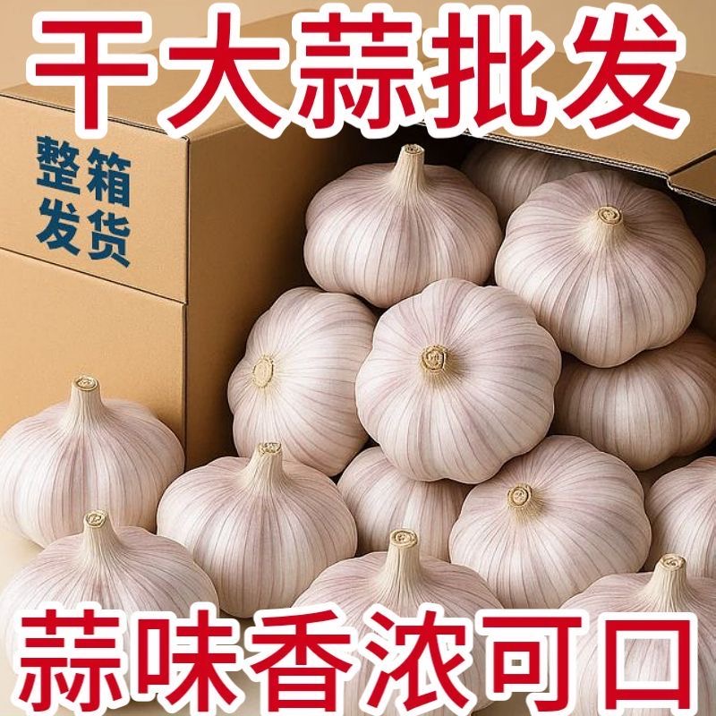 紫白皮干蒜一斤装新鲜大蒜2025大蒜头干蒜