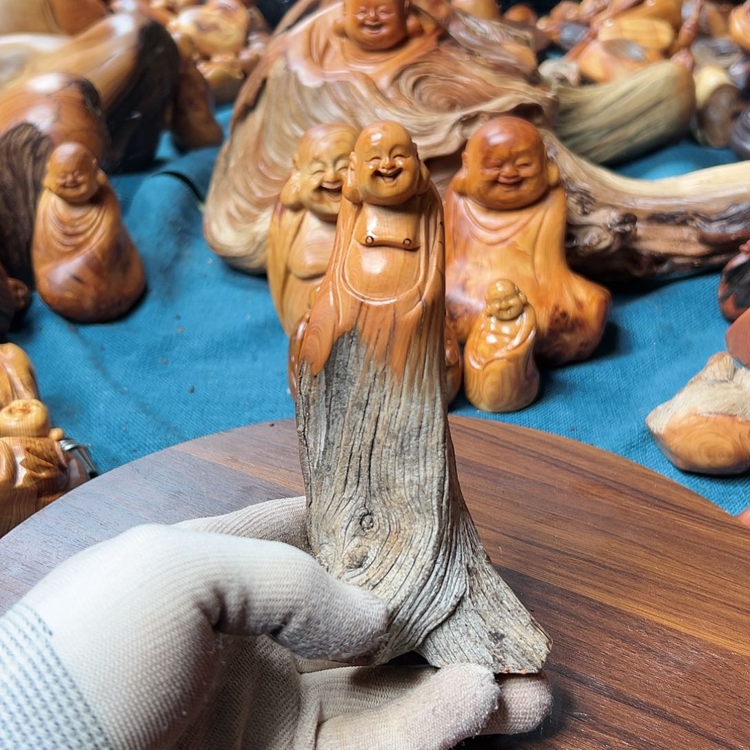 柏木（崖柏）太行崖柏