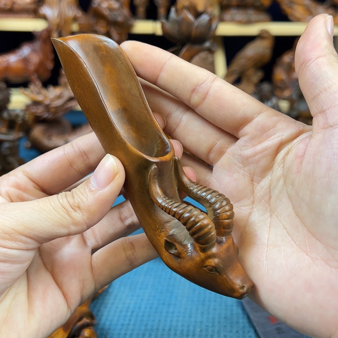 黄杨木小叶黄杨木