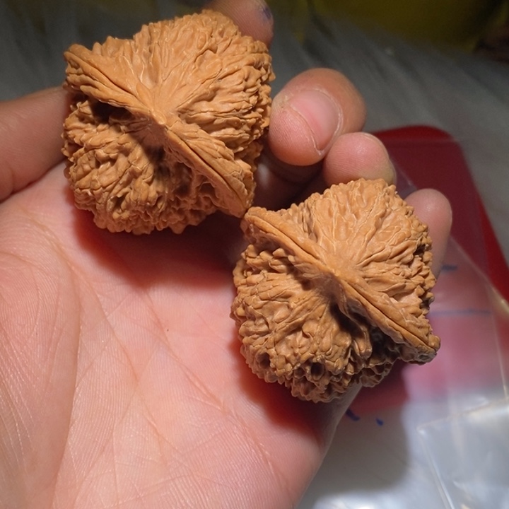 孔***翎吊坠文玩核桃精品课程等课程教学
