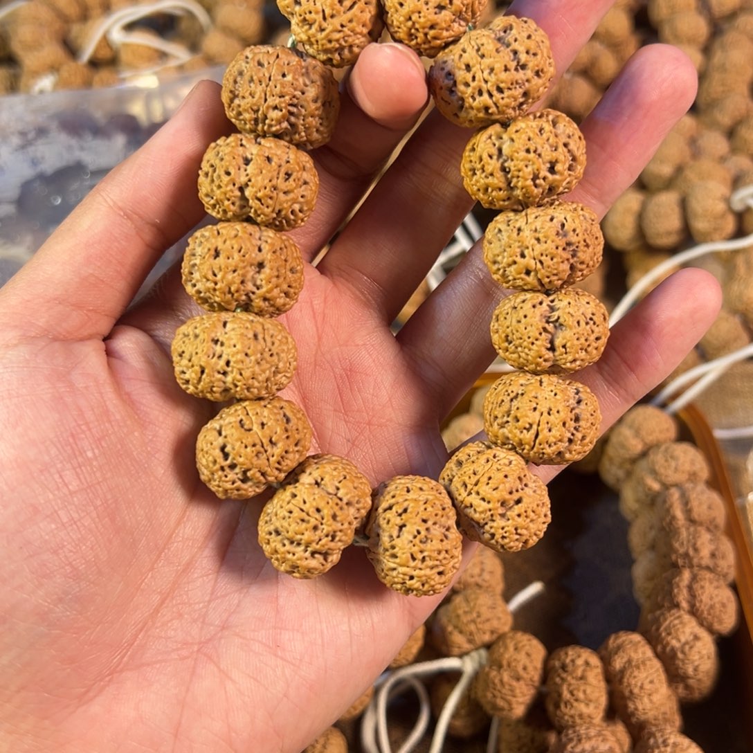 金刚菩提吊坠龙蛭菠萝蜜23定制