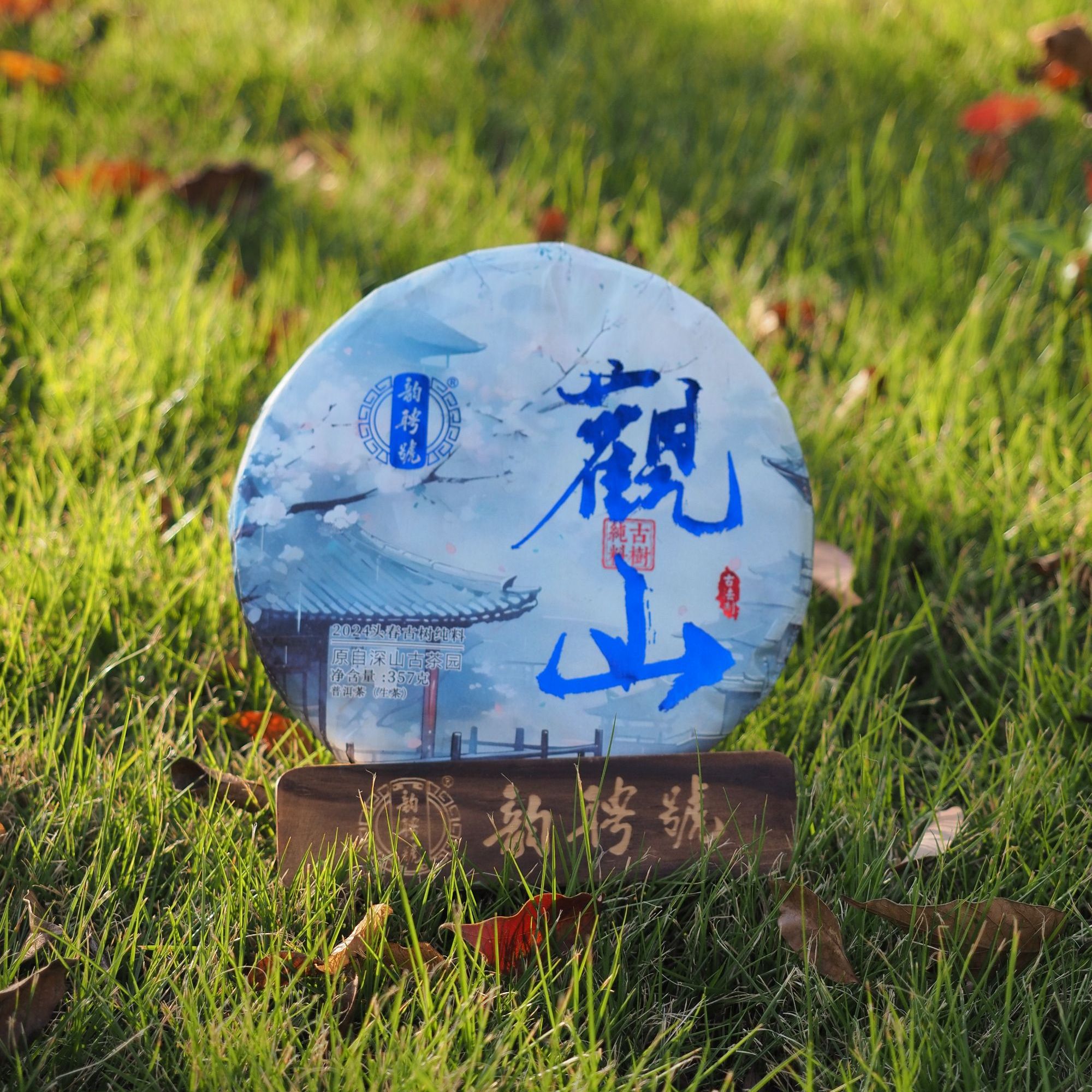 韵聘号 观山 头春古树生茶饼 2024年