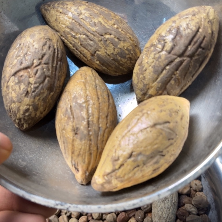 千眼菩提吊坠千眼菩提第147