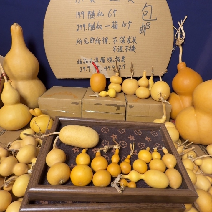 天***意葫芦葫芦葫芦葫芦