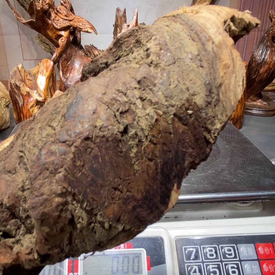 晨***恩木我们都是好孩子