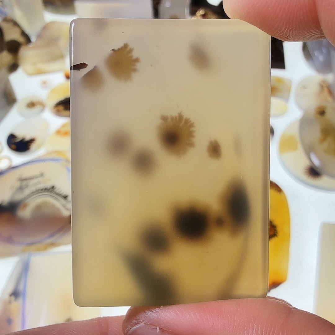 玛瑙/玉髓未镶嵌珠宝半成品