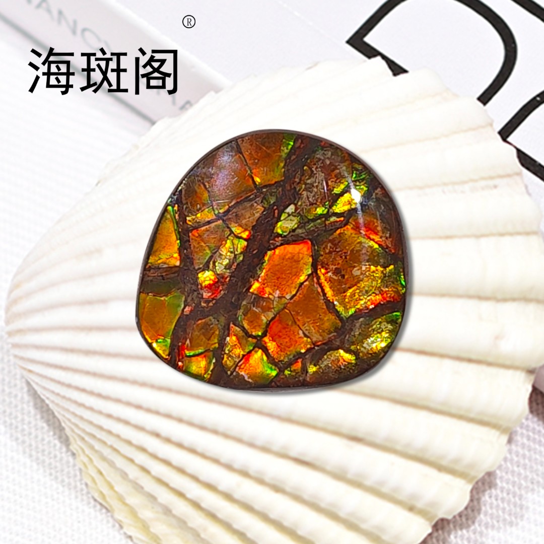 【海斑阁】天然加拿大斑彩宝石有机宝石收藏树脂覆膜裸石DLS-25149