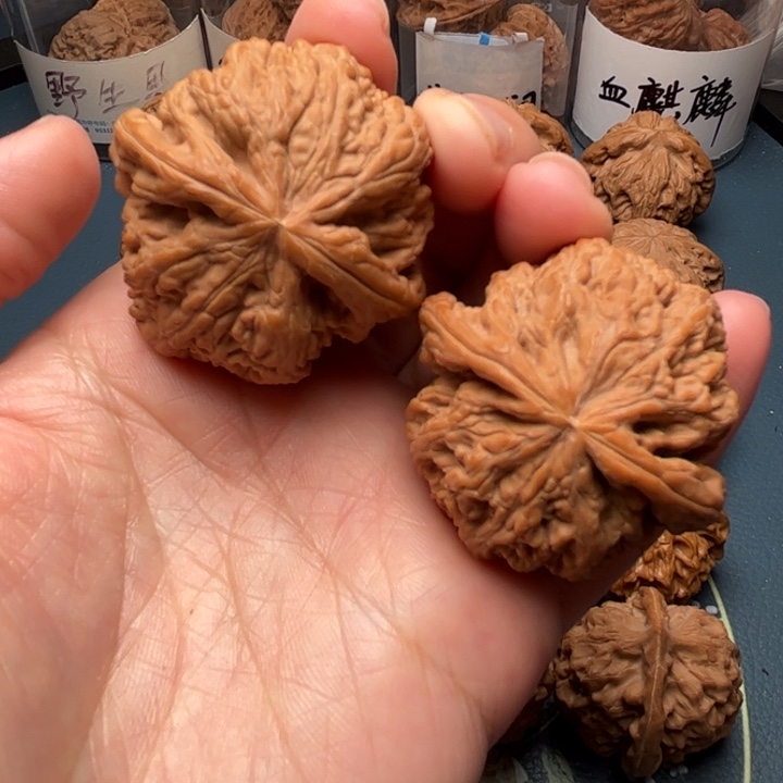 文玩核桃吊坠42大粗筋