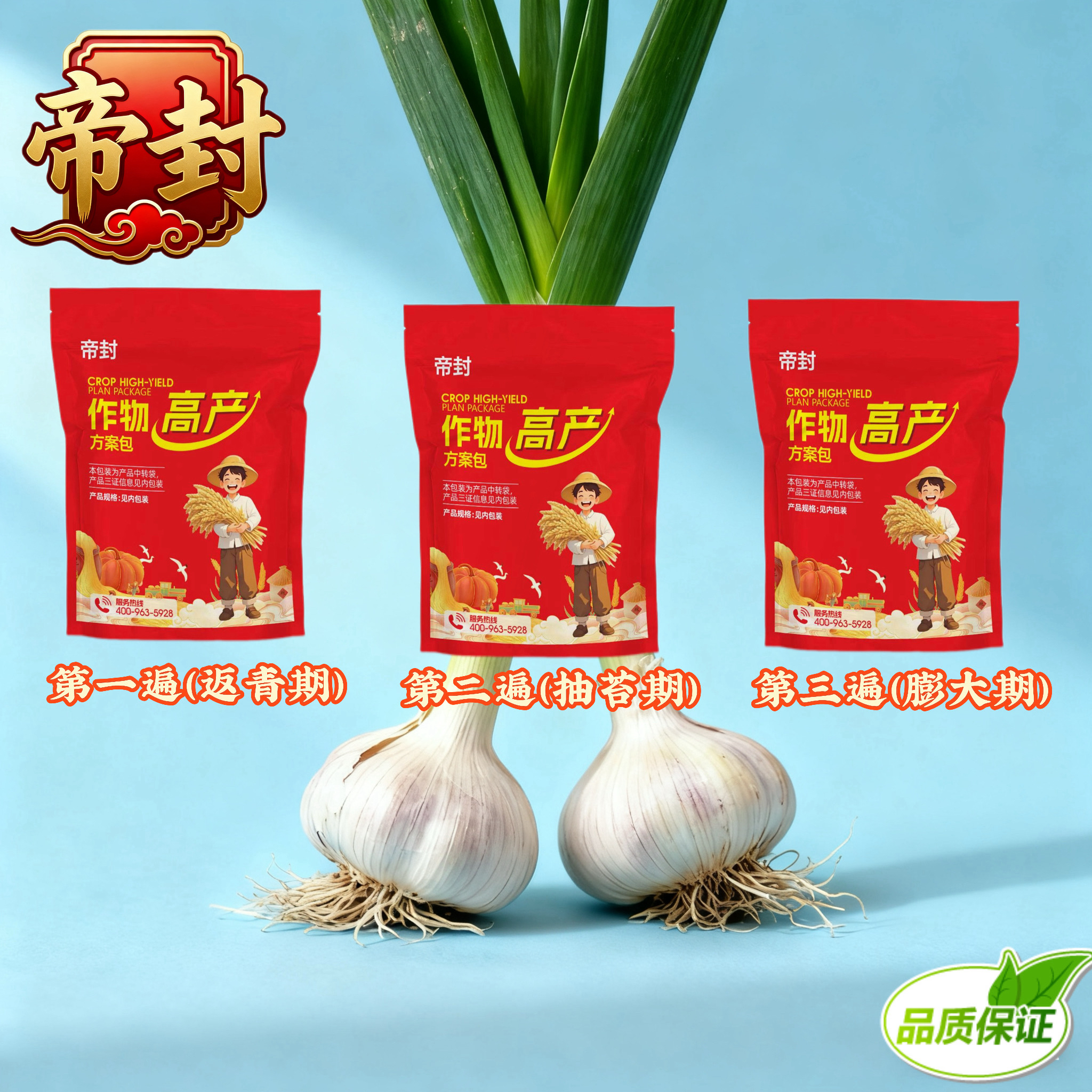 帝封正品三遍方案蒜头膨大蒜苗粗壮高产营养叶面肥