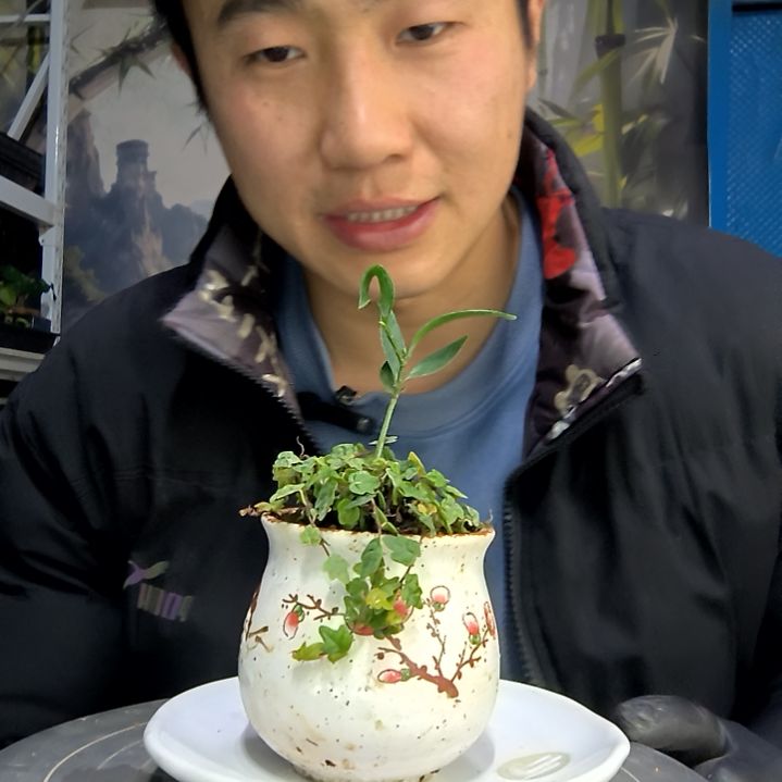 珠*中青园艺一物一拍花119