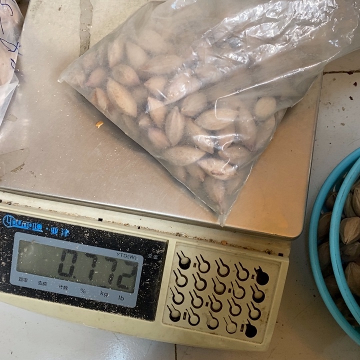 吊坠橄榄核华**雕