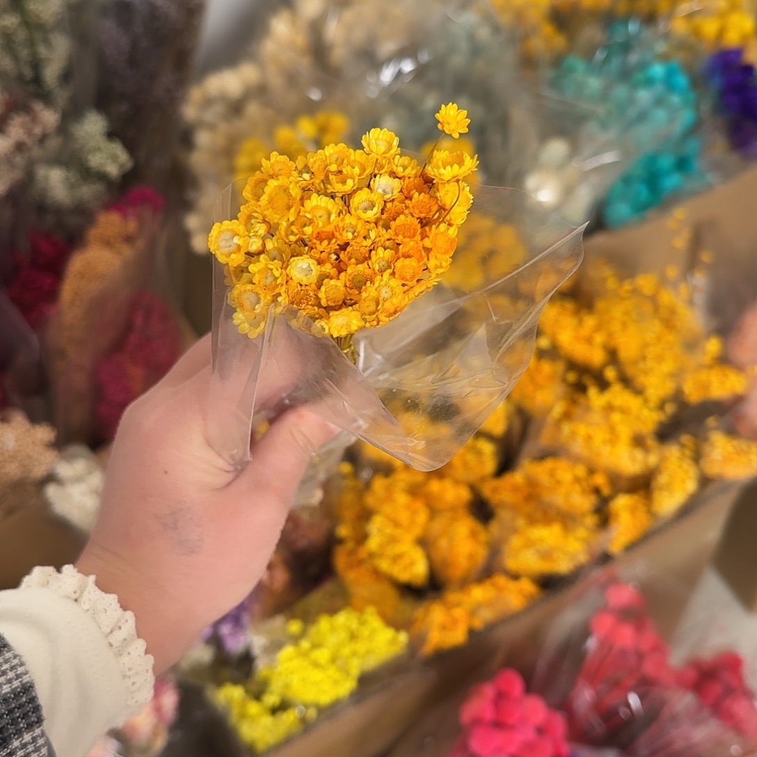 H88号橙色100枝小星花