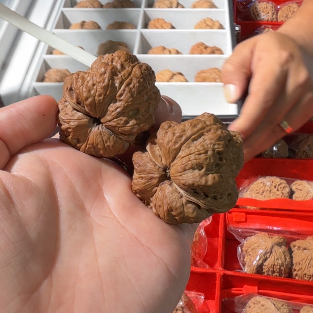 文玩核桃把件老张11号雪域蟾王