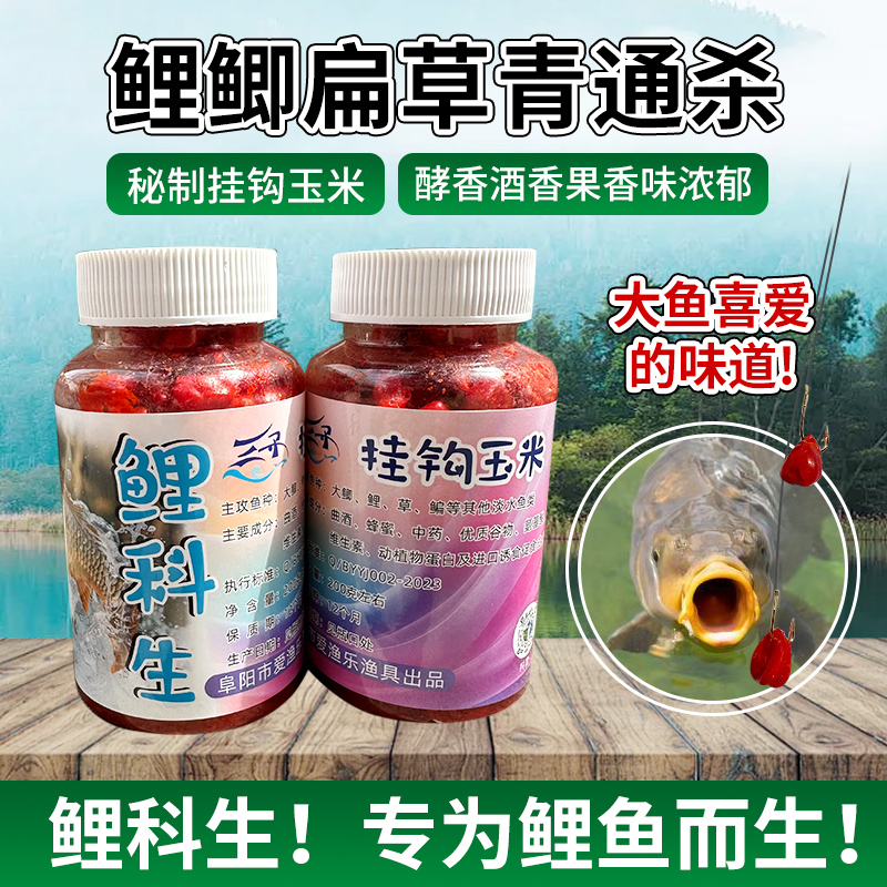 三子鲤科生 挂钩玉米主攻鲤鱼兼钓大鲫-草-鳊-等
