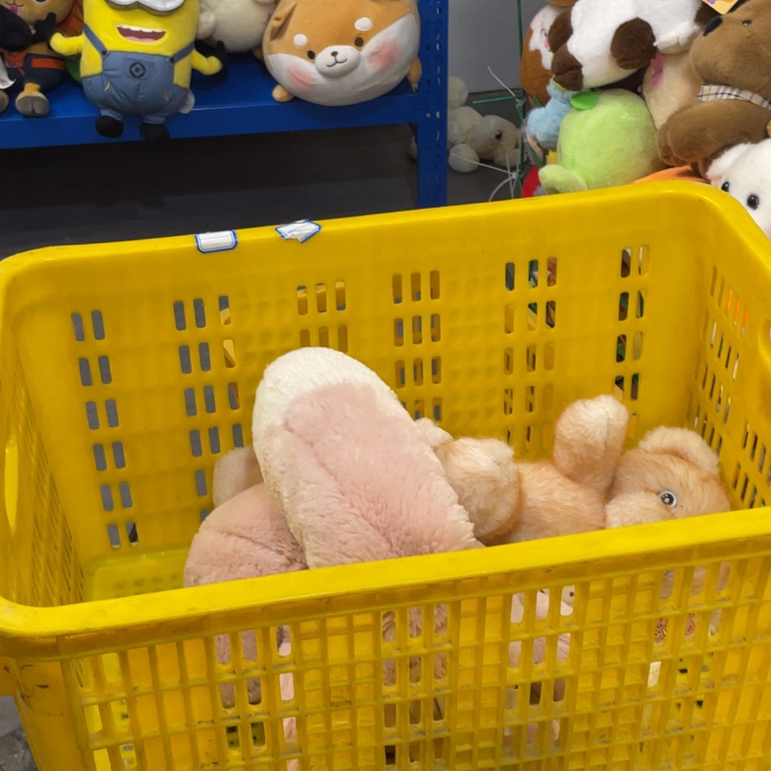 毛绒76000000000000