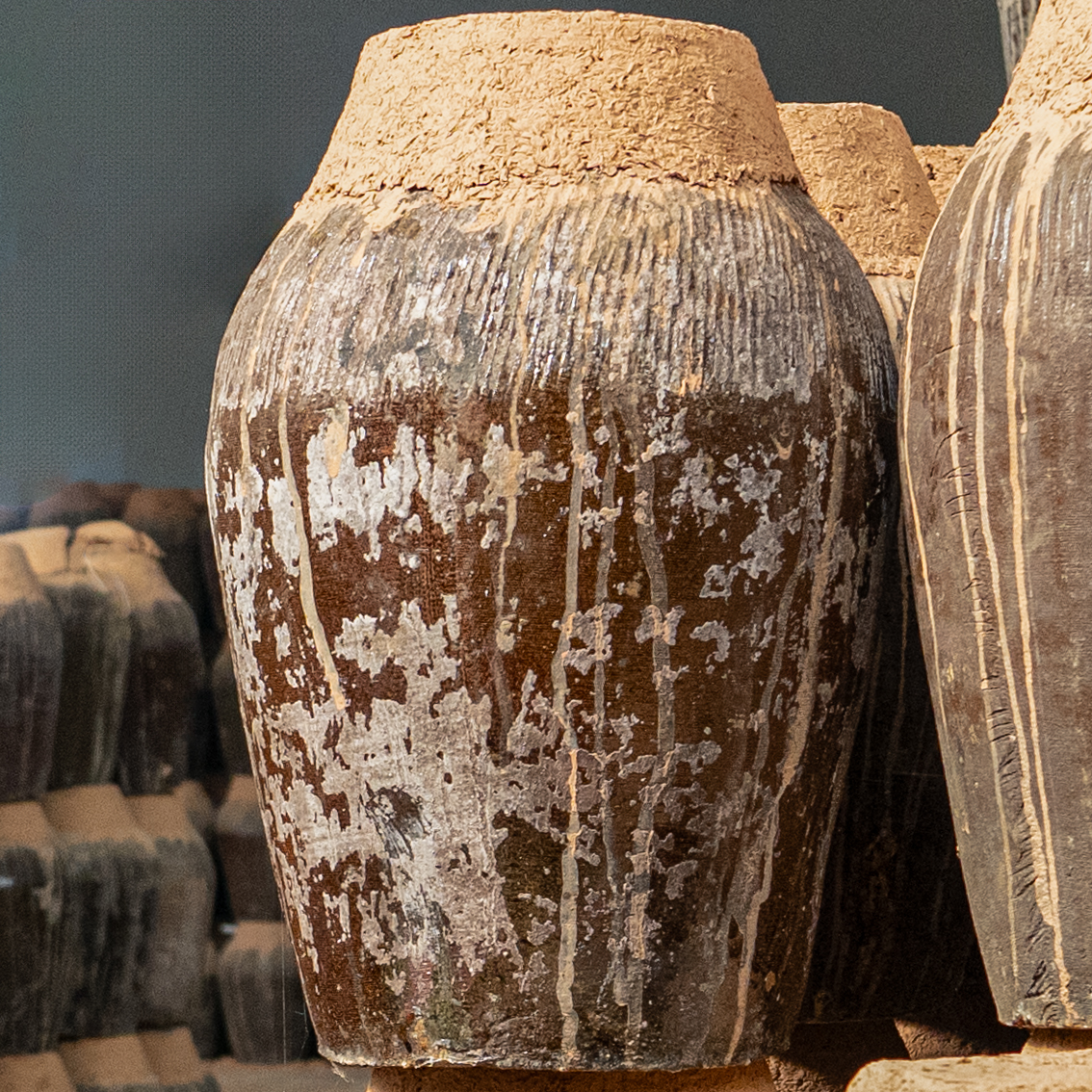 【江心】坛装传统黄酒纯粮红曲酿造自饮花雕酒22.5L