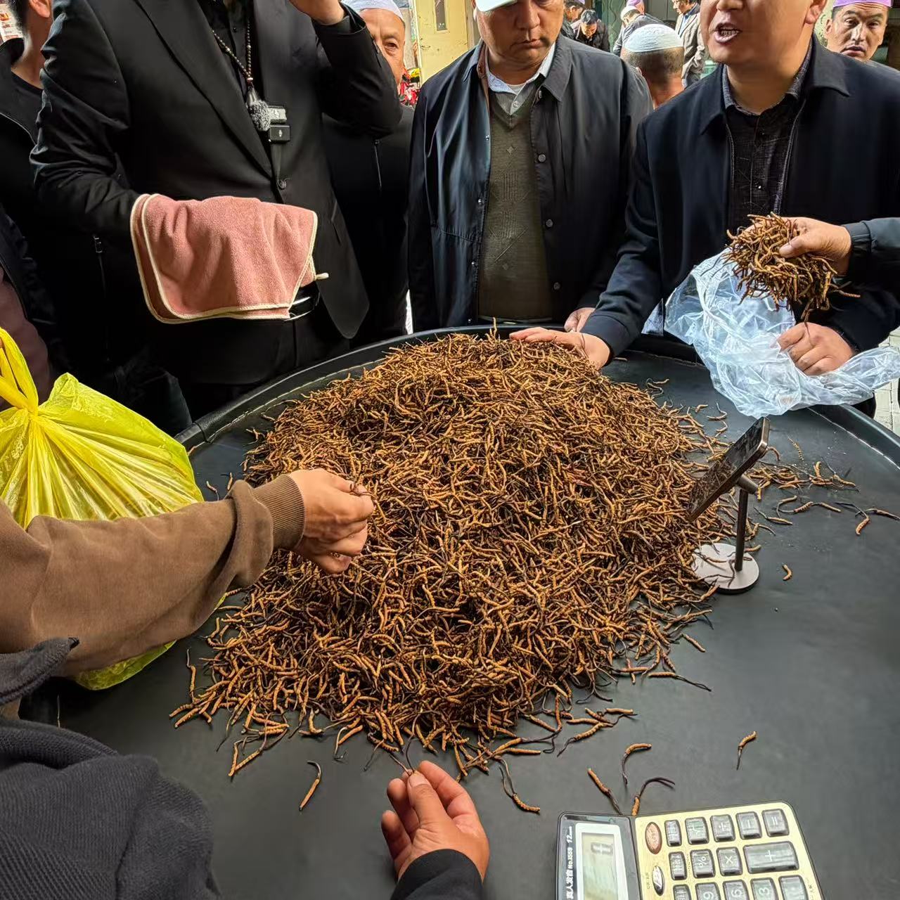 【冬虫夏草】10.4号 好货小草 实收现卖 自然晒干 品质滋补实拍图