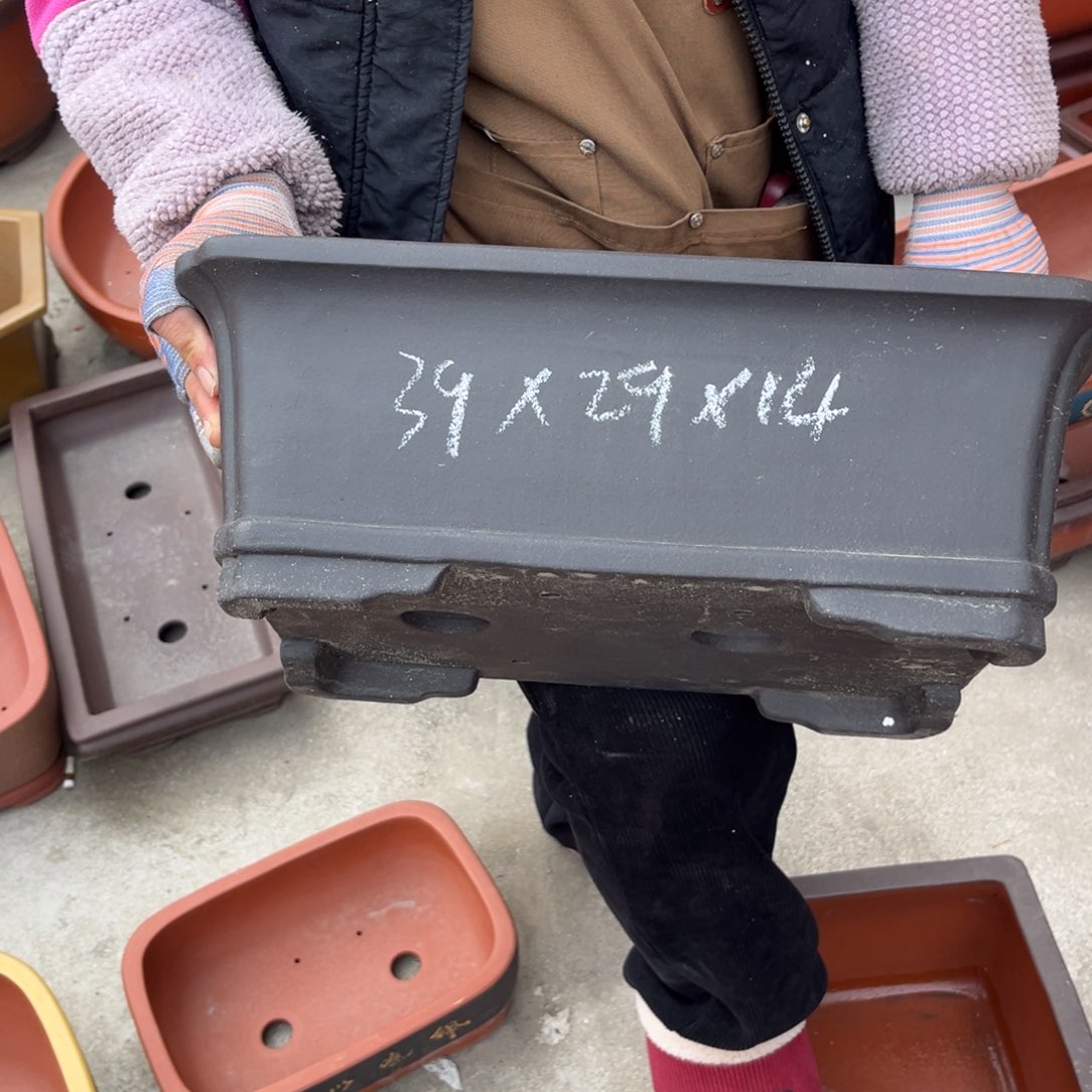 紫砂花盆盆景艺术