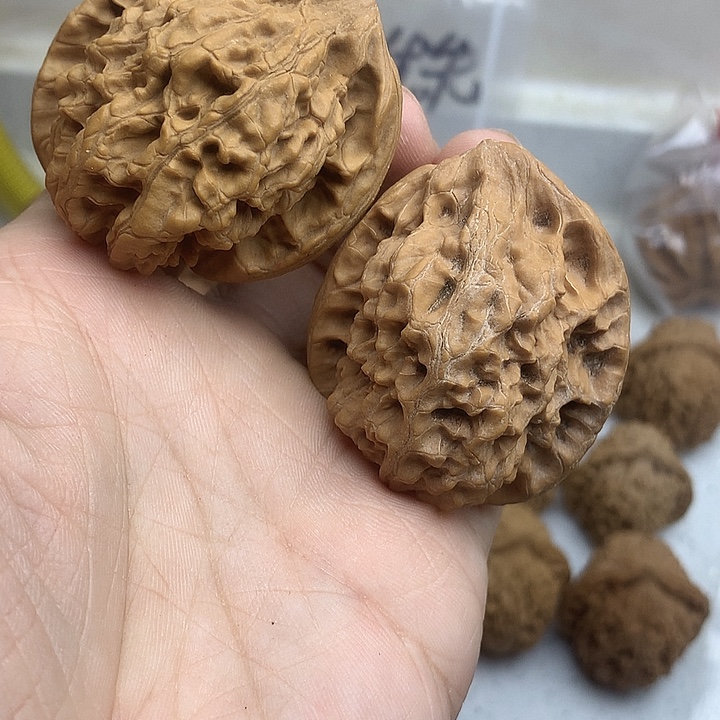 n***n文玩核桃吊坠龙鼎半壁