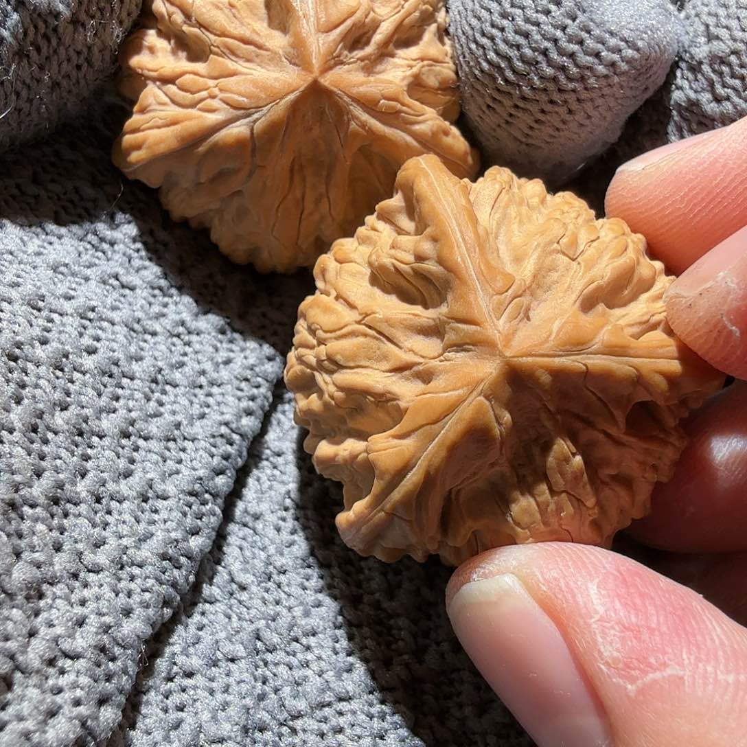 文玩核桃把件御龙正奔