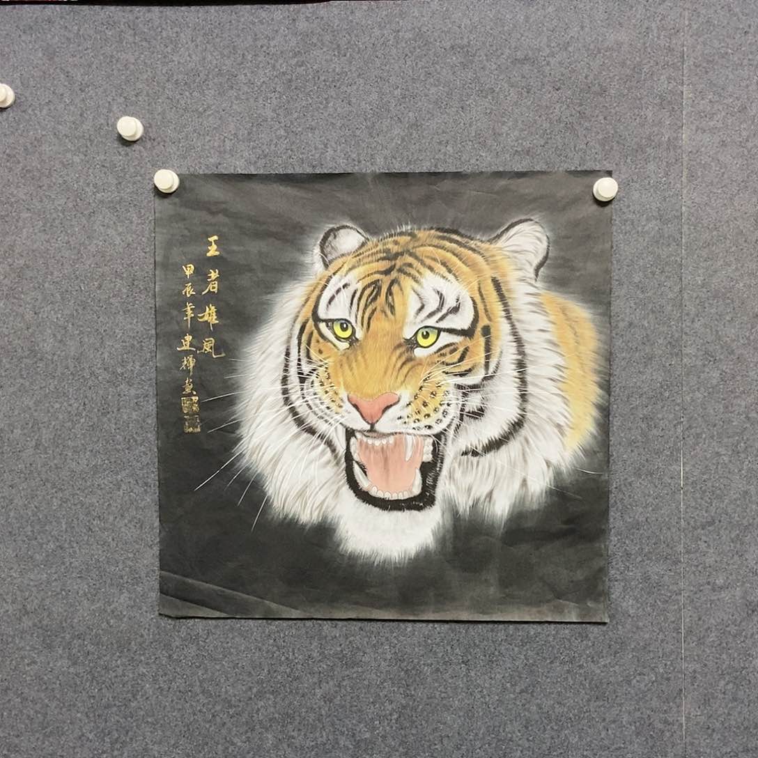 国画四尺斗方工笔虎头一副