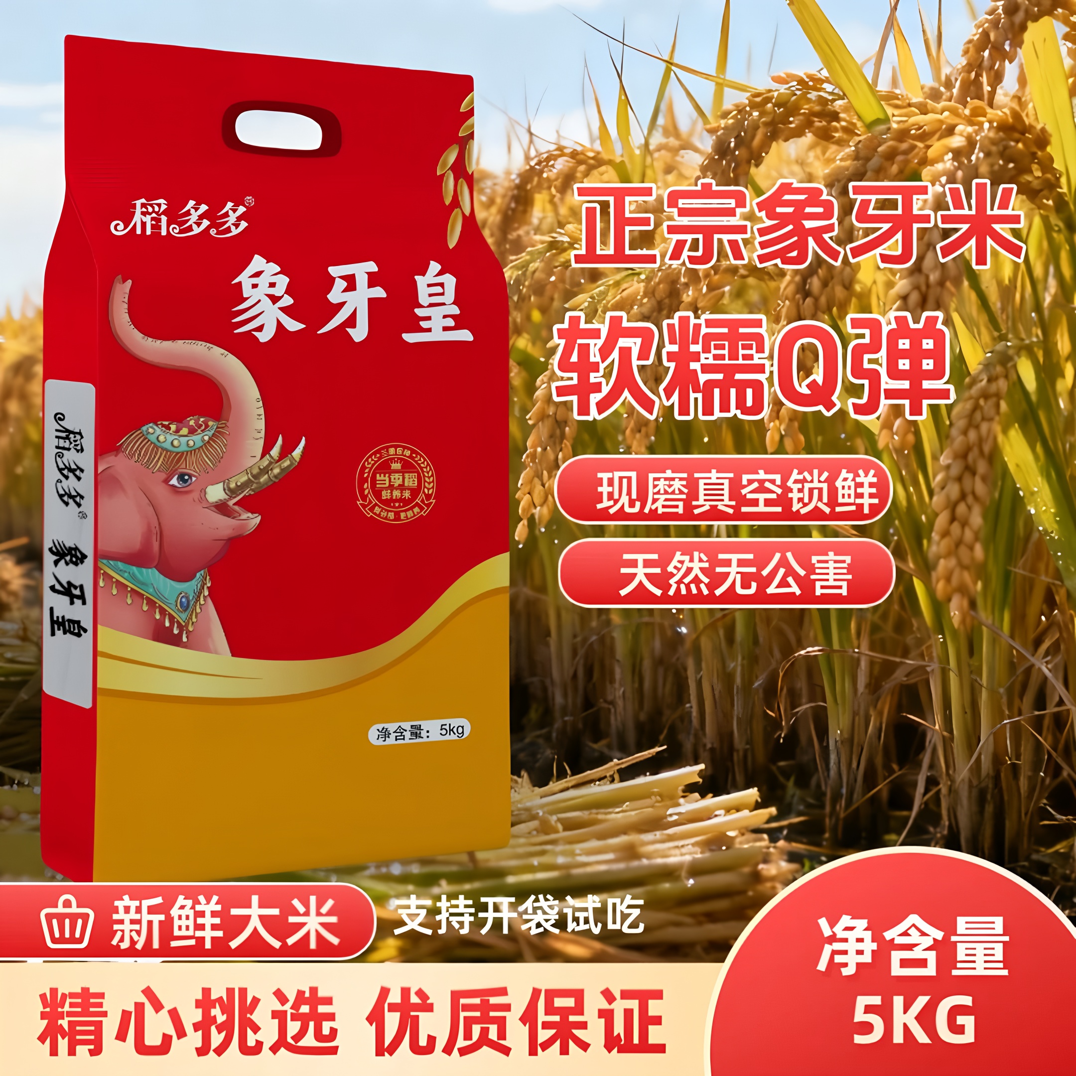 长粒象牙皇米现磨新米煮饭清香口感软糯