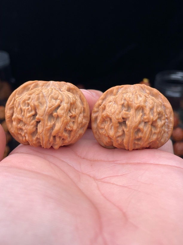 41边41肚32.5高全品正桩压手满肉天地二爷帽核桃
