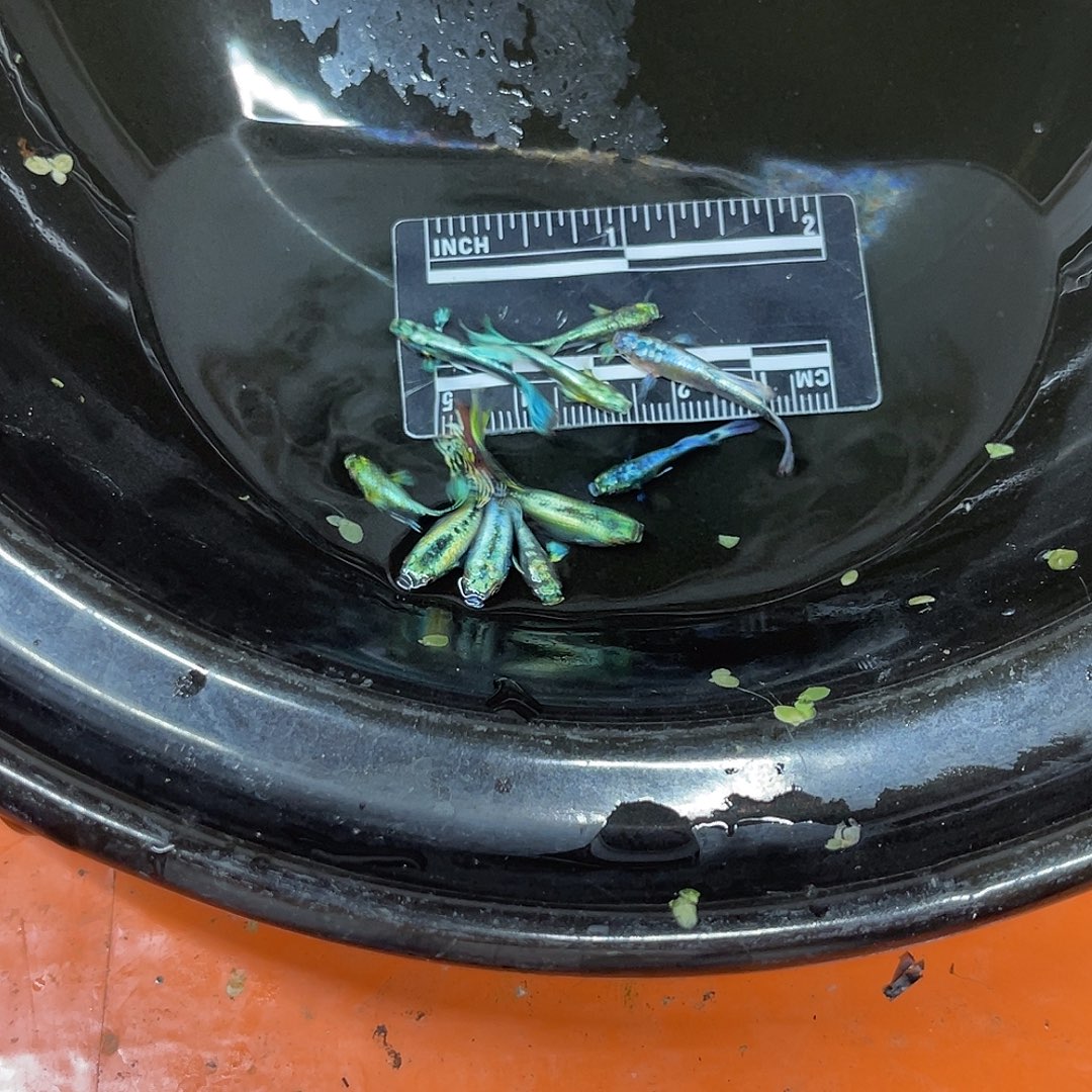 海水20号哈哈哈哈哈哈