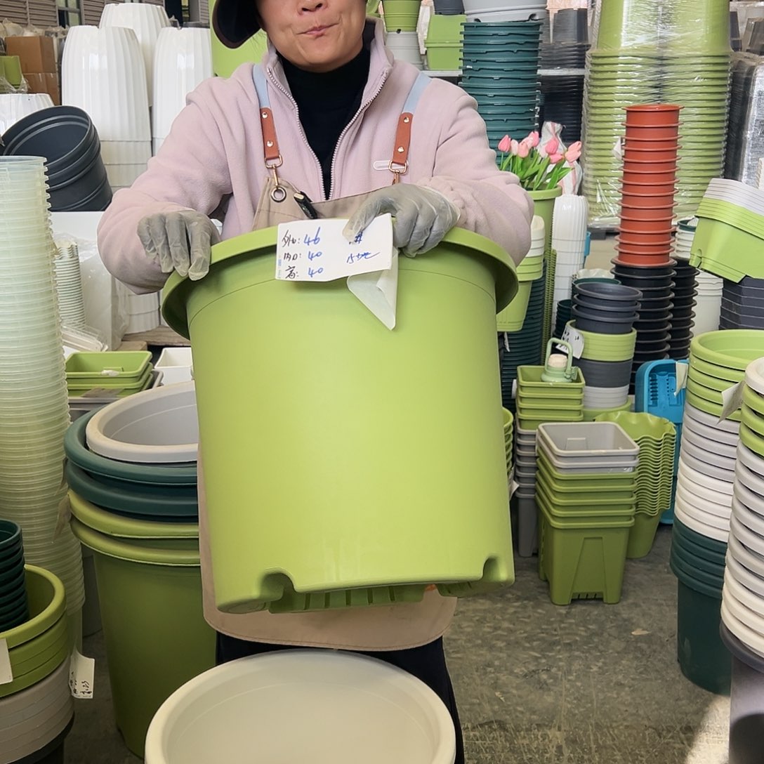 四季盆9#果绿色2个无托